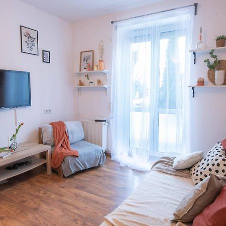 Home Studio Z Ogrodkiem Kraków Zewnętrze zdjęcie